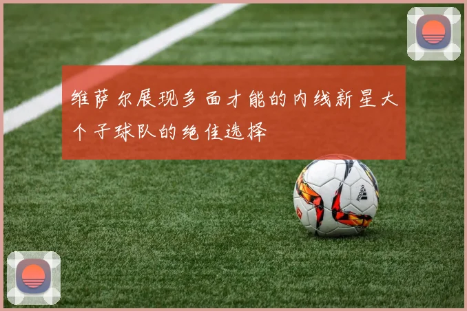 维萨尔展现多面才能的内线新星大个子球队的绝佳选择